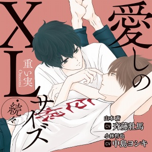 xlsize3